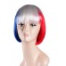 Flag-002~France